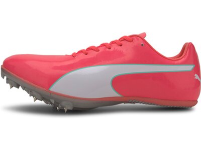 PUMA Herren Leichtathletikschuhe evoSPEED Sprint 10 ( Pink