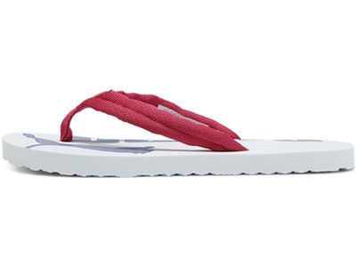 PUMA Kinder Sandalen Epic Flip v2 Jr Grau