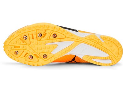 PUMA Herren Leichtathletikschuhe evoSPEED Haraka 7 Orange