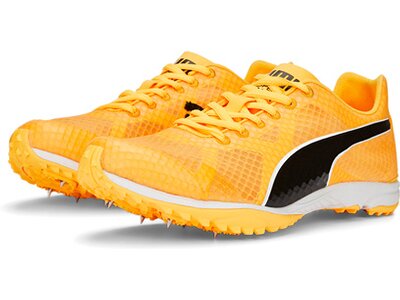 PUMA Herren Leichtathletikschuhe evoSPEED Haraka 7 Orange