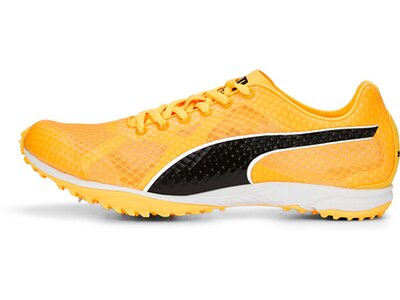 PUMA Herren Leichtathletikschuhe evoSPEED Haraka 7 Orange