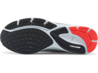 PUMA Herren Laufschuhe Velocity Nitro 2 GTX Grau