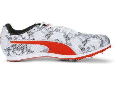 PUMA Herren Leichtathletikschuhe evoSPEED Star 8 Schwarz