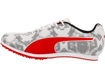 PUMA Herren Leichtathletikschuhe evoSPEED Star 8 Schwarz