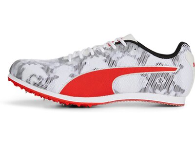 PUMA Herren Leichtathletikschuhe evoSPEED Star 8 Schwarz