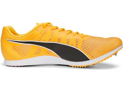 PUMA Herren Leichtathletikschuhe evoSPEED Distance 11 Orange