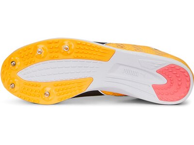 PUMA Herren Leichtathletikschuhe evoSPEED Distance 11 Orange