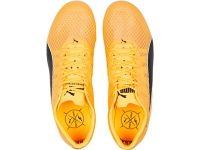 PUMA Herren Leichtathletikschuhe evoSPEED Distance 11 Orange