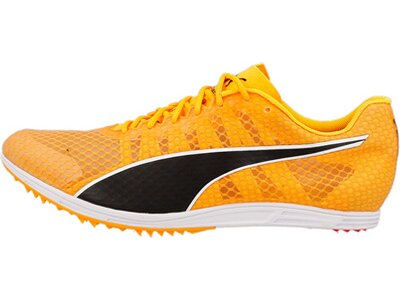 PUMA Herren Leichtathletikschuhe evoSPEED Distance 11 Orange