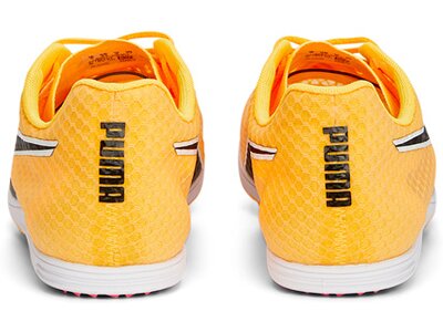 PUMA Herren Leichtathletikschuhe evoSPEED Distance 11 Orange