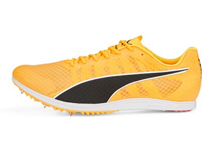 PUMA Herren Leichtathletikschuhe evoSPEED Distance 11 Orange