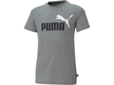 PUMA Kinder Shirt ESS 2 Col Logo Tee B Grau
