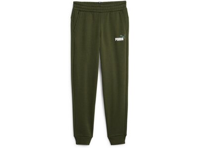 PUMA Kinder Hose ESS 2 Col Logo Pants FL Grau