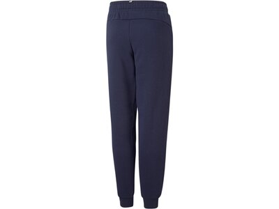 PUMA Kinder Hose ESS 2 Col Logo Pants FL Blau