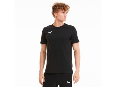 PUMA Herren Shirt teamGOAL 23 Casuals Tee Schwarz
