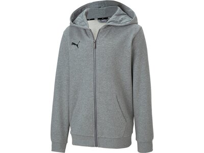 PUMA Kinder Sweatshirt teamGOAL 23 Casuals Hooded Grau