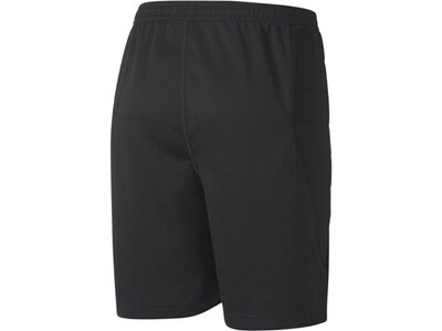 PUMA Herren Shorts Goalkeeper Shorts Schwarz