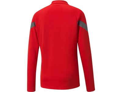 PUMA Herren Shirt teamFINAL Training 1/4 Zip Rot