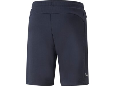 PUMA Herren Shorts teamFINAL Casuals Shorts Blau