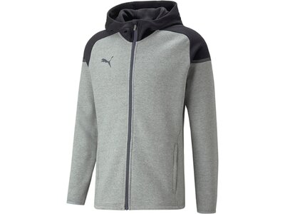 PUMA Herren Blouson teamCUP Casuals Hooded Jkt Grau