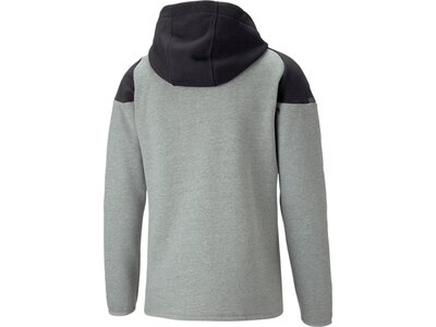 PUMA Herren Blouson teamCUP Casuals Hooded Jkt Grau