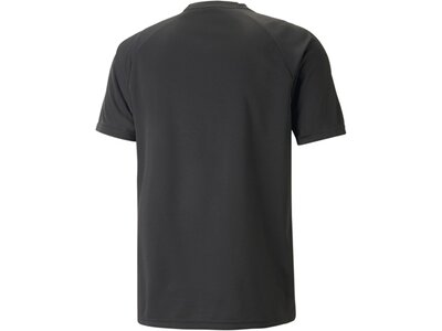 PUMA Herren Fantrikot teamLIGA Graphic Jersey Schwarz