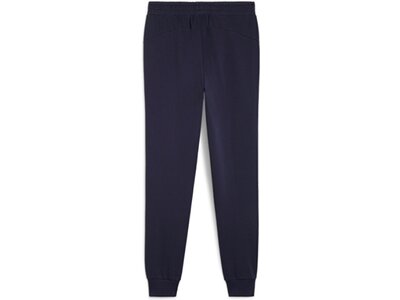 PUMA Herren Sporthose teamGOAL Casuals Pants Schwarz