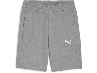 PUMA Herren Shorts teamGOAL Casuals Shorts Grau