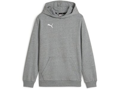 PUMA Kinder Pullover teamGOAL Casuals Hoody Jr Grau