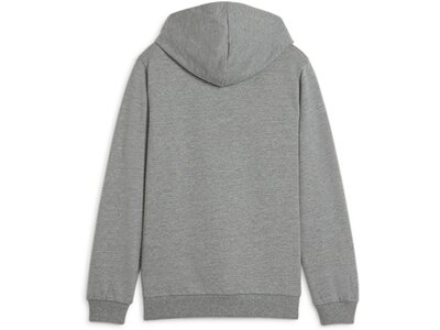 PUMA Kinder Pullover teamGOAL Casuals Hoody Jr Grau