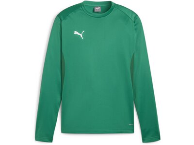 PUMA Herren Sweatshirt teamGOAL Training Sweat Grün