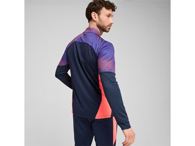 PUMA Herren Blouson individualFINAL 1/4-Zip Top Blau