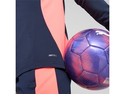 PUMA Herren Blouson individualFINAL 1/4-Zip Top Blau