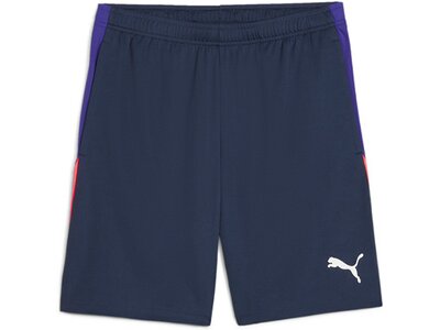 PUMA Herren Shorts IndividualLIGA Training Shorts 2 (open pockets) Blau