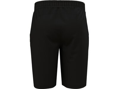 PUMA Herren Shorts BPPO-000744 BLANK BASE - M Schwarz