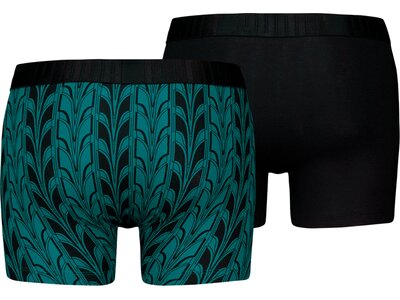 PUMA Herren Unterhose TERRACE PRINT BOXER 2P Grün