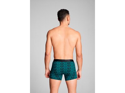 PUMA Herren Unterhose TERRACE PRINT BOXER 2P Grün