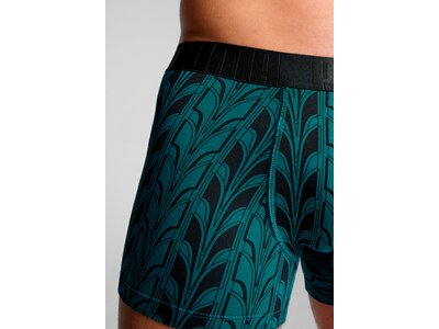 PUMA Herren Unterhose TERRACE PRINT BOXER 2P Grün