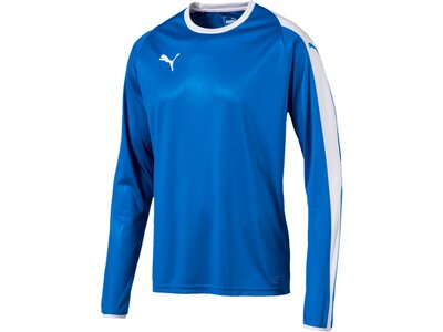 PUMA Fußball - Teamsport Textil - Trikots LIGA Trikot langarm Blau