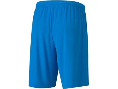 PUMA Herren Shorts teamGOAL 23 knit Shorts Blau