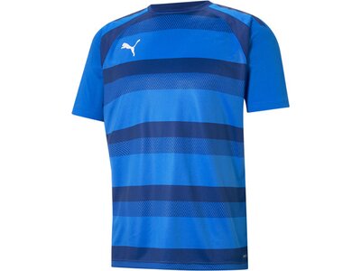 PUMA Herren Shirt teamVISION Jersey Blau