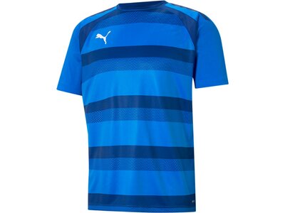 PUMA Herren Shirt teamVISION Jersey Blau