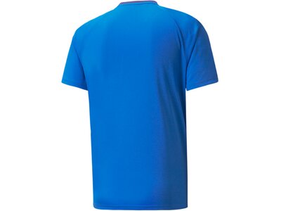 PUMA Herren Shirt teamVISION Jersey Blau
