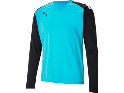 PUMA Herren Shirt teamPACER GK LS Jersey Blau