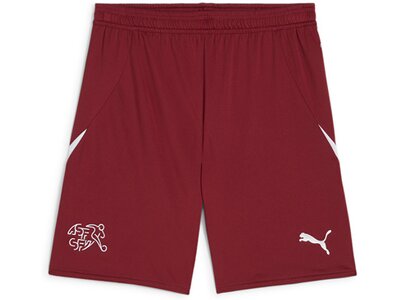 PUMA Herren Shorts SFV Shorts Replica Rot