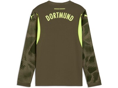 PUMA Kinder Fantrikot BVB GK Jersey Replica LS Jr Grün