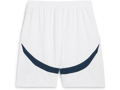 PUMA Herren Shorts MCFC Shorts Replica Weiß