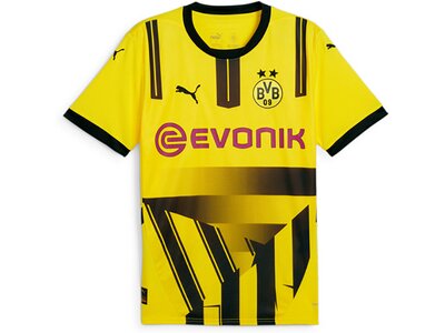 PUMA Herren Fantrikot BVB Cup Jersey Replica Schwarz