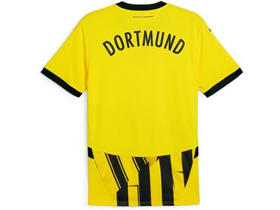 PUMA Herren Fantrikot BVB Cup Jersey Replica Schwarz
