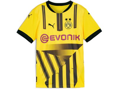 PUMA Kinder Fantrikot BVB Cup Jersey Replica Jr Grau
